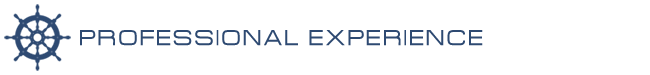 professional-experience
